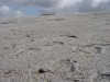 footprints, Fatima