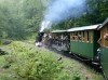 Mocanita - The Steam train, Maramures, Vasser Valey