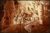 Ursilor cave, Oradea, Apuseni mountains