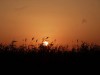 Sunset on Trei Iezere lake, Tulcea, Danube Delta