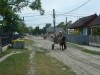 Sf Gheorghe Village, Tulcea, Danube Delta