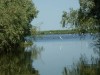 Taranova Lake, Tulcea, Danube Delta