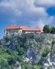 Walking tour in Ljubljana