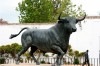 Bull, bronze statue, Ronda