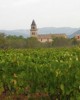 Wine tasting tour in Palma de Majorca