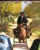 Excursion in Seville