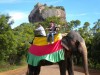 Ride on an Elephant an adventure sport, Sigiriya, In fron of the Sigiriya