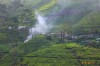 Tea plantation, Nuwara Eliya, Labukelle