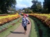 Flower Garden, Kandy, Royal Botanical Garden