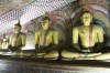 Meditation Buddha statues, Dambulla Rock Cave Temple