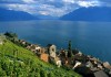 Lavaux wine region / western part  of Switzerland, Lausanne