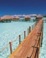 Tahiti. Temae. Tahiti Tahiti. Temae. Tahiti