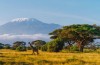 Trekking tour in Moshi
