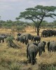 Private Guide in Kilimanjaro