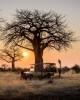 Jeep tour in Serengeti