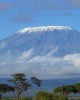 Trekking tour in Machame