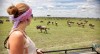 Magical Migration Luxury Beach Holiday Safari Tours, Serengeti National Park