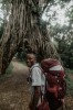 arusha, Arusha