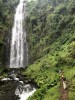 kilimanjaro climbing, Moshi