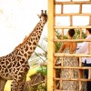 Wildlife sanctuary, Sanya juu