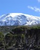 Private Guide in Machame