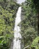 Excursion in Kilimanjaro