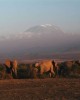 Eco and Wildlife tour in Arusha