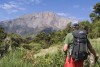 Trekking Meru, Arusha