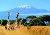 Lemosho route west Kilimanjaro, Mount Kilimanjaro