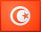 Private guides in Tunis Private guides in Tunis