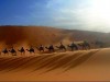 Douz:Camel trek, Tunis
