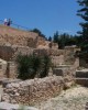 Culture and History tour in Tunis