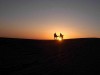 A camel trek in the sahara, Desert