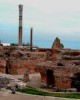 Culture and History tour in Tunis