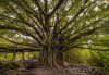 ., Hawaii, United States