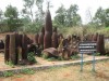DMZ, Hue