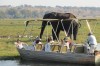 Chobe National Park, Victoria Falls, Botswana, Kasane