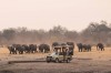 Hwange Game Drive, Victoria Falls, Hwange National Park