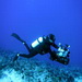 Diving tour