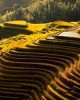4 days guilin yangshuo longji rice terraces tour in Guilin, China