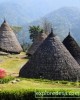 Flores Overland  Komodo Tour in Tangerang, Indonesia