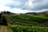 Shore excursion from Livorno: Chianti tour in Florence, Italy