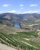 Porto and Douro valley, leaving from Lisbon in Lisbon, Portugal