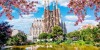 Answer about Spain
