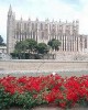 Palma Cathedral and the Old City of Majorca in Palma de Majorca, Spain