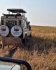 Affordable safari 2026  prices Tanzania, wildlife tour- game drives in Arusha, Tanzania