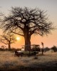 Tanzania safari booking jeep tour 4 x 4 game drives wildlife in Moshi, Tanzania