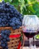 Wine tasting tour in Tanzania, includes grape farms visit in Dadoma, Tanzania