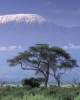 Kilimanjaro climbing trips, trekking expeditions Tanzania, free waterfall.coffee tour in Moshi, Tanzania