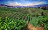 Malibu Wine Tours and Tasting in Los Angeles, United States